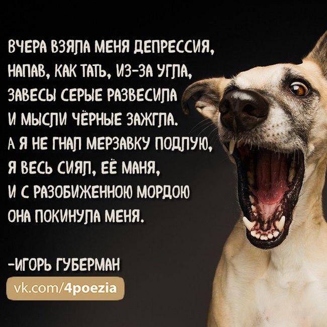 Igor Guberman - Poems - My, Huberman, Igor Guberman, Russian writers, Russian literature, GIF, Longpost, Writers