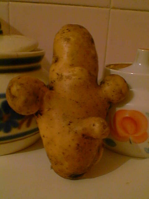 Potato. - My, , The photo, Old photo, Humor