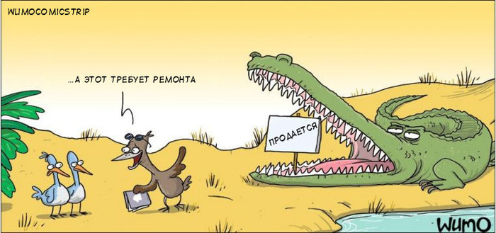 Buy a crocodile - Wulffmorgenthaler, Comics, Crocodile, Birds, Sale, Realtor, Crocodiles