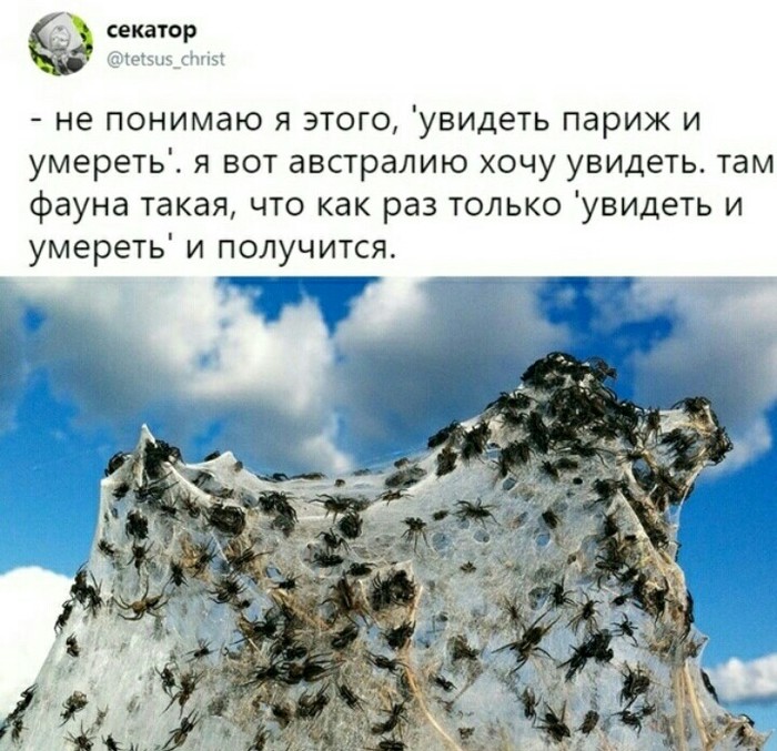 Увидеть и умереть