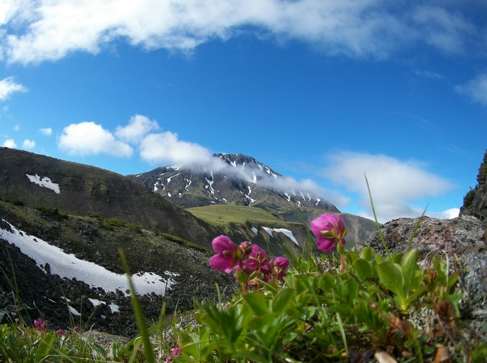 Beautiful Kamchatka - My, Kamchatka, , , , Longpost, Tolbachik Volcano