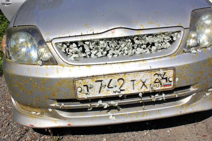 Деревенский тюнинг