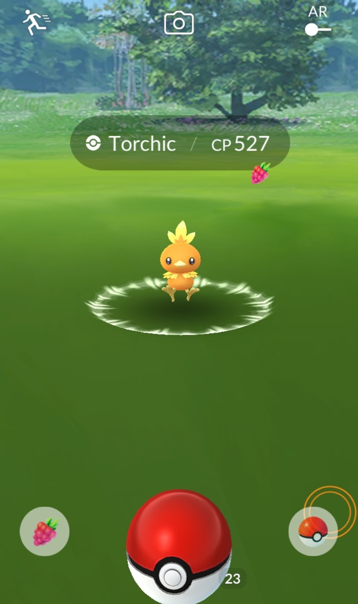    ?! , Pokemon GO