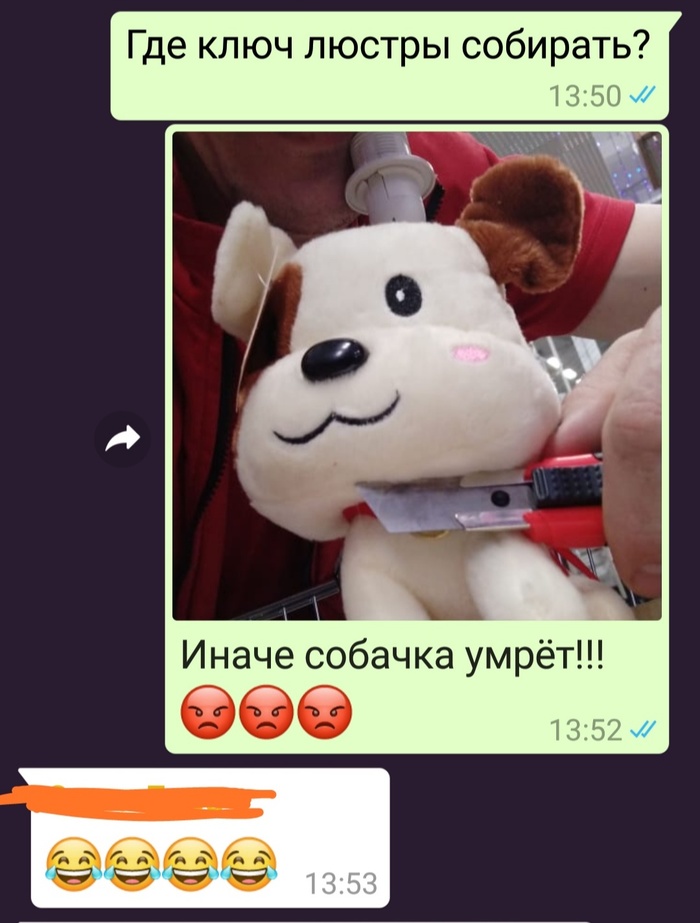 Dog - My, Humor, Work days, Soft toy, Threat, Correspondence, Screenshot, Whatsapp