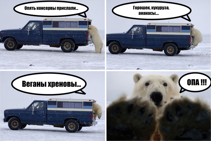 Консервы
