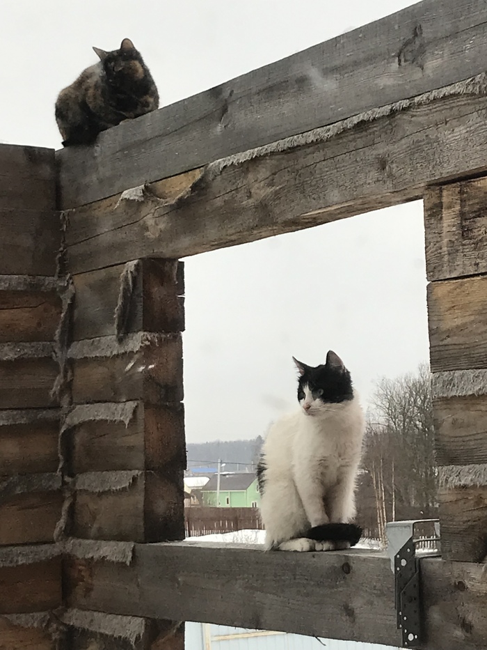 �� �����.