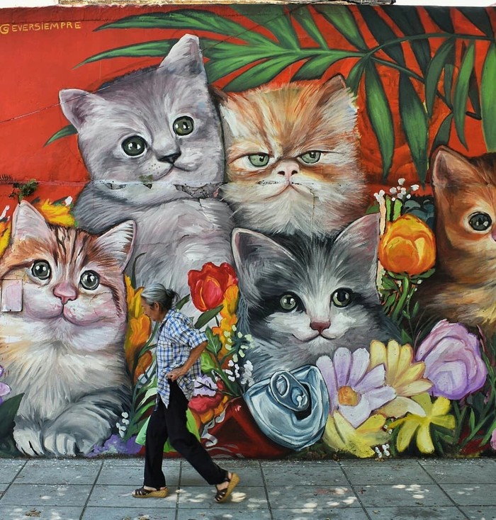 Somewhere in Buenos Aires - cat, Argentina, Street art, Graffiti, Wall painting