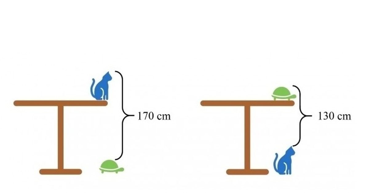 Тест какой высоте. Задача про высоту стола. Задача про стол кота и черепаху. Загадка про высоту стола кошку и черепаху. Задача про кошку и черепаху на столе.