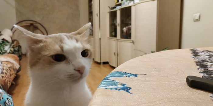 ����� ������� ������