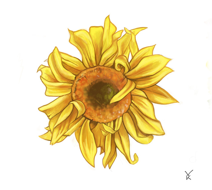 ��� ������ ������� �� ��������