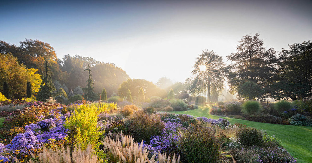 Профессиональный сад. The Bressingham Gardens. Флетчер зе Гарден. Ричард Блум садовый фотограф. Природа в картинках.