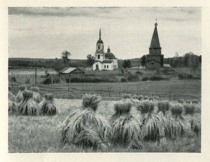 Wooden architecture of the Vologda province. - My, Local history, Tarnogsky District, Vologodskaya Oblast, Architectural monument, Wooden architecture, , North, A loss