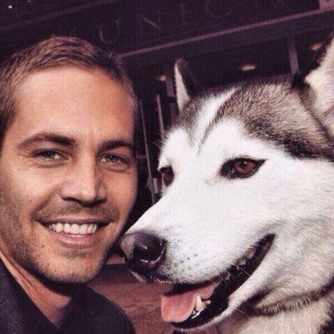 This smile is remembered by millions. - Actors and actresses, Movies, Society, People, Paul Walker, A life