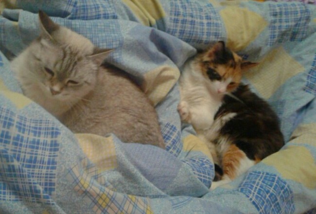 Попробуй не уснуть