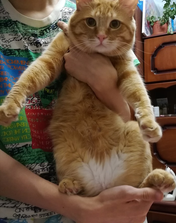 ����� �� ��� ��� �� ���������