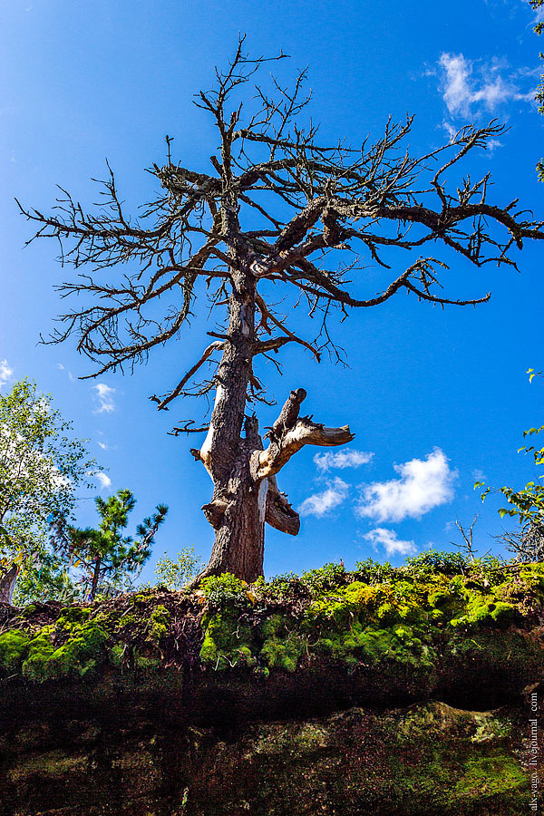 Bicycle tour Komi-Ural. - My, Bike trip, Travels, The photo, Perm Territory, Longpost