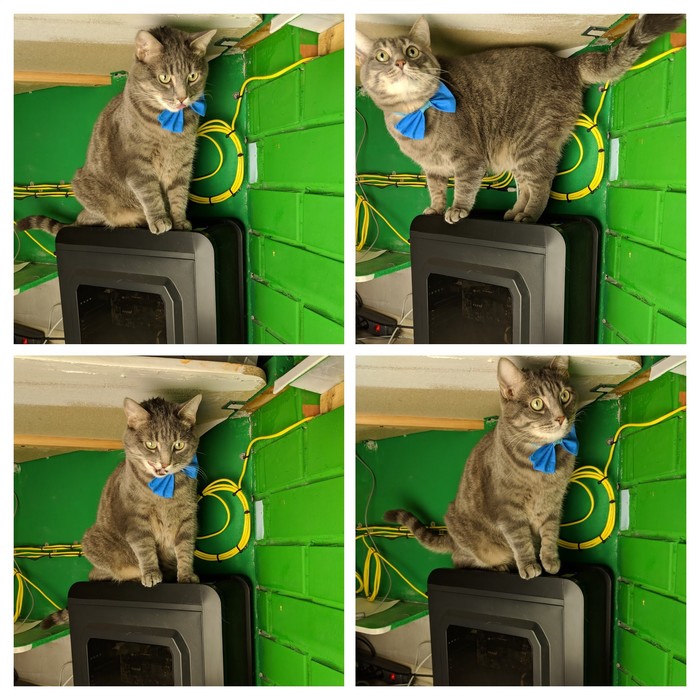 Сетевое хранилище из старого ПК Nas, Файловое хранилище, Компьютерное железо, Длиннопост, Обмен опытом