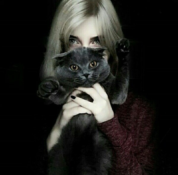 ������� � ������ #201.0