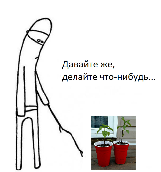 How do I feel when I check my seedlings for the 5th time in a day - Houseplants, Plant growing, Gardening, Reddit