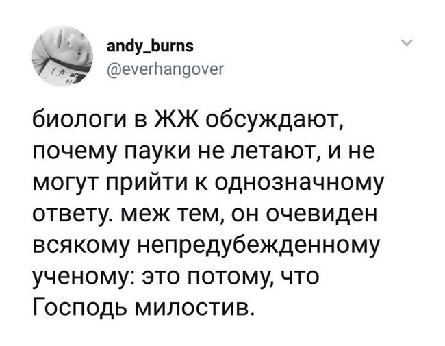 И правда - Юмор, Скриншот, Twitter, Паук