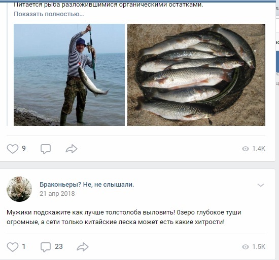 Poachers in VKontakte, what to do with them? - My, Poachers, Law violation, Longpost