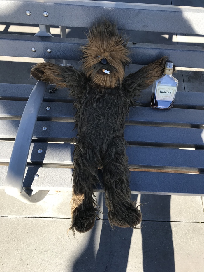 Just chill - My, Chewbacca, Hennessy, Relax, Chilit, Relaxation