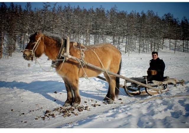 Turk Umid Sahin - about the Yakut language and culture of Sakha. - Turkey, Yakutia, Yakut language, Turks, Video, The photo, Longpost