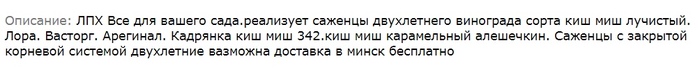 Literacy on the Internet. - My, Spelling, Spelling, Literacy, Novopolotsk, Polotsk, Republic of Belarus, Koufar, In contact with, Longpost