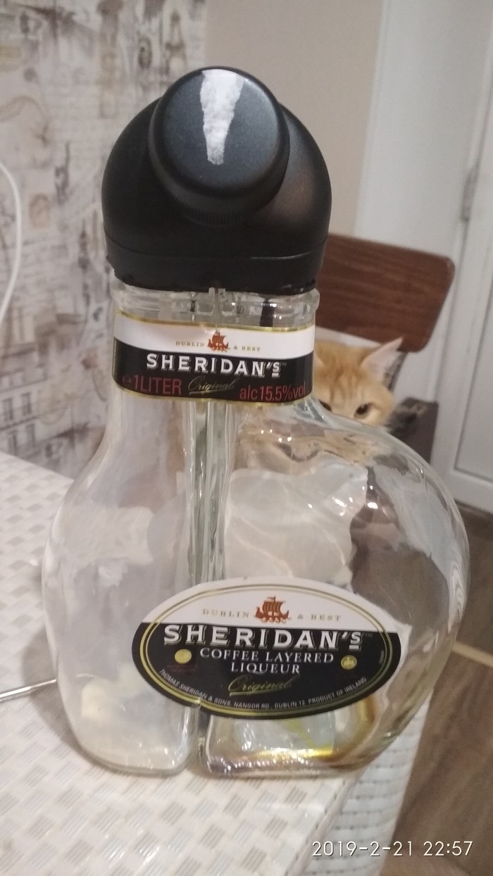 Dismantled a bottle of Sheridan's liqueur - My, Alcohol, cat, Bottle, Longpost, , Liquor