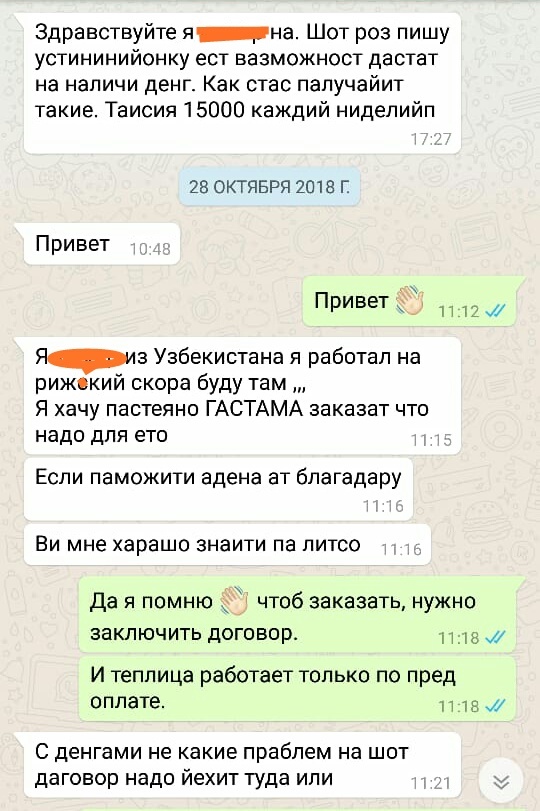 Ти узнаеш миня па литсо... Или языковые барьеры) - Русский язык, Граммар-Наци, Языковой барьер, Нипанятно, Переписка, Длиннопост, Заказчики, Непонятно