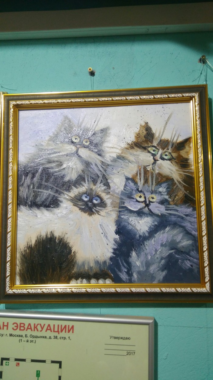 Oil cats - cat, Painting