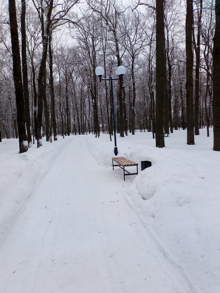 Last moments of winter. - My, My place, Nature, Winter, Penza, Longpost