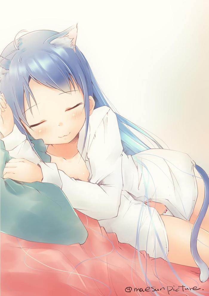 Napping cat Samidare-chan - Anime art, Anime, Kantai collection, Samidare, Animal ears, Neko