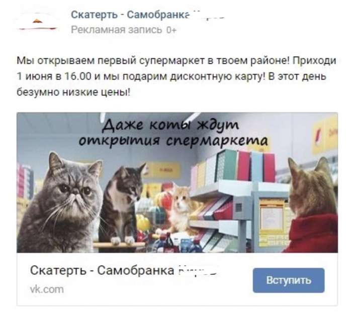 Even the cats are waiting - Humor, Marketing, Advertising, cat, Supermarket, Screenshot