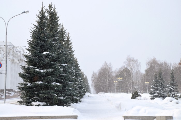 Walk on a cloudy Saturday - My, The photo, Winter, Longpost