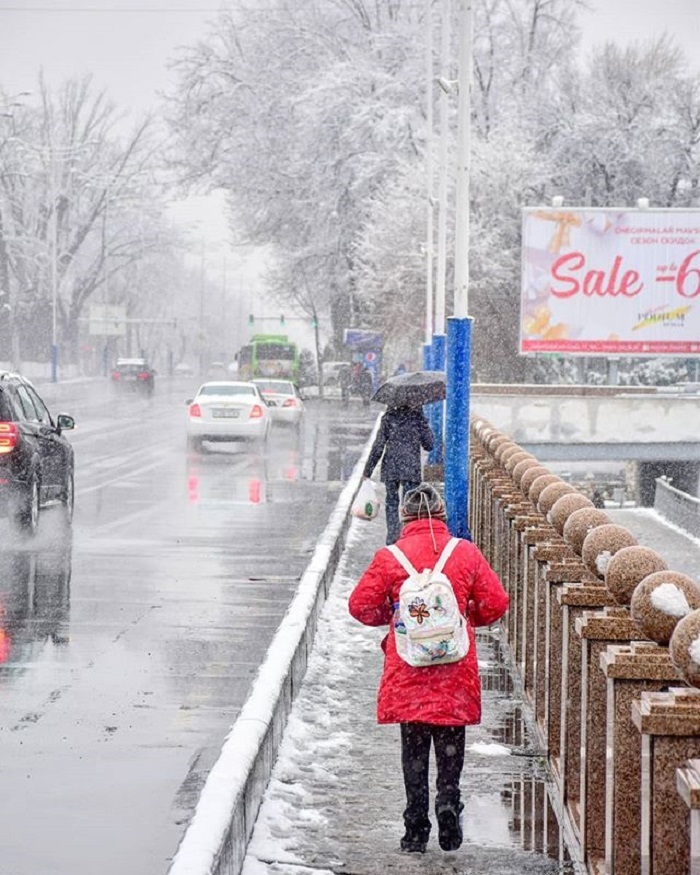 One day winter, Tashkent - Winter, Snow, Tashkent, Uzbekistan, The photo, Longpost