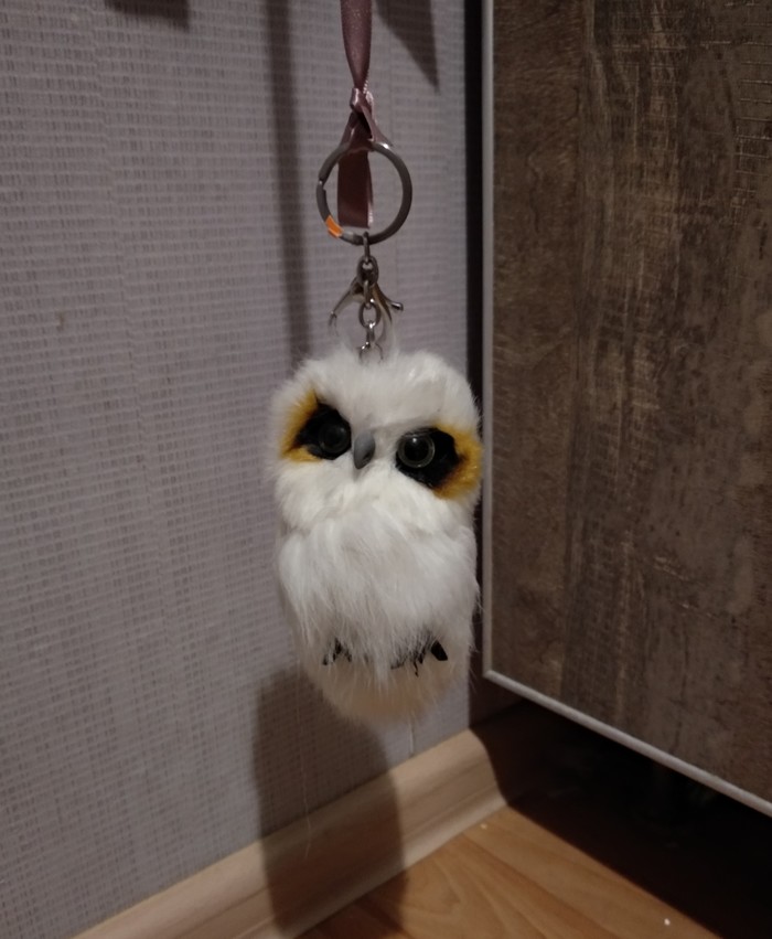 Owl - My, Soft toy, Pets