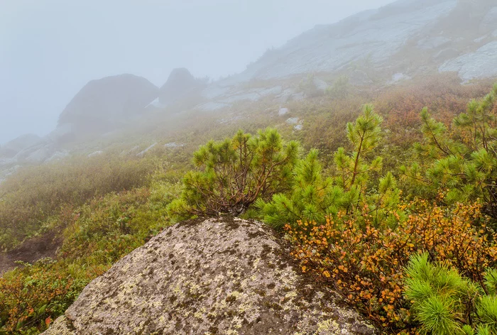 Mysterious phenomenon on Martin lake - My, Ergaki, Travels, , Fog, Nature, Siberia, Longpost