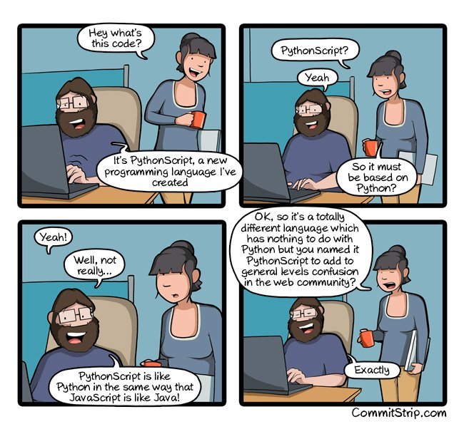 PythonScript - Python, Web development, Programming, Professional humor, Commitstrip