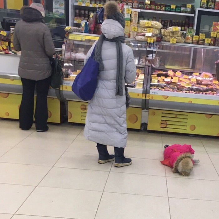 When I'm tired of shopping - My, Parents and children, Children, Parents, Humor, Toddlers, Russia