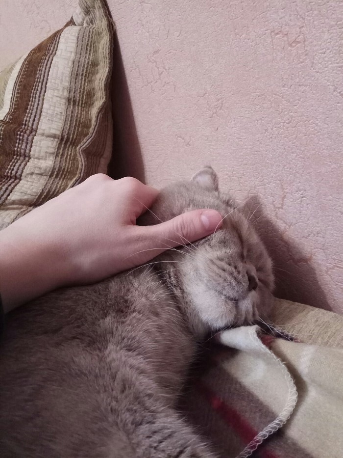 Очень нужны подруги, друзья и единомышленники!