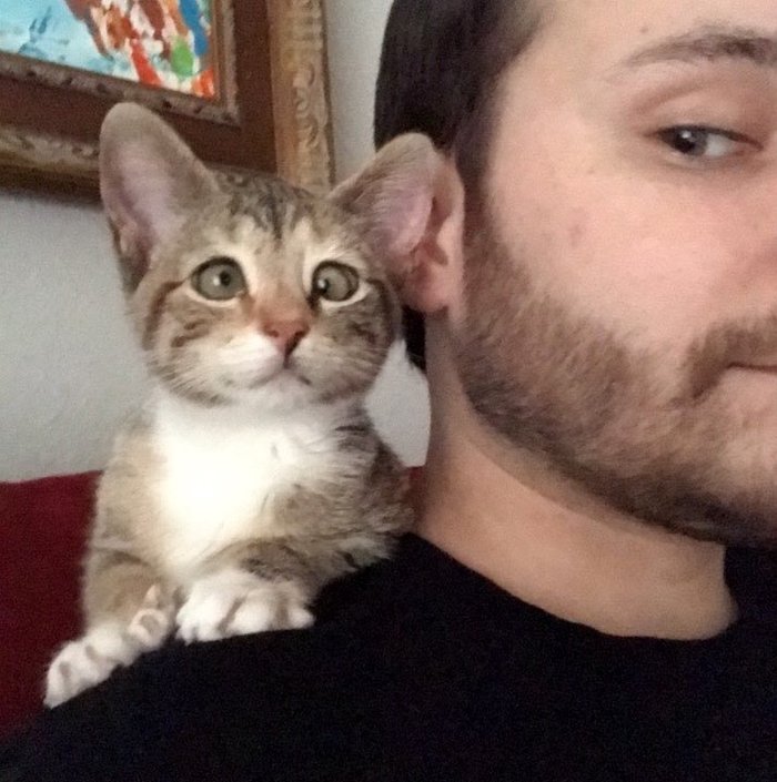 Полная киска мужского нектара — photo 11