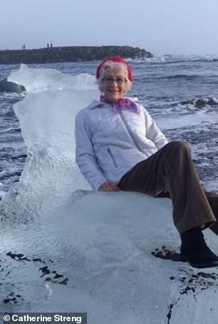 Grandmother from Texas on the ice throne was swept into the sea of ??Iceland - Iceland, Frozen throne, Grandmother, Swept away into the sea, Daily mail