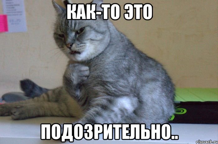 1551596138131292956.jpg