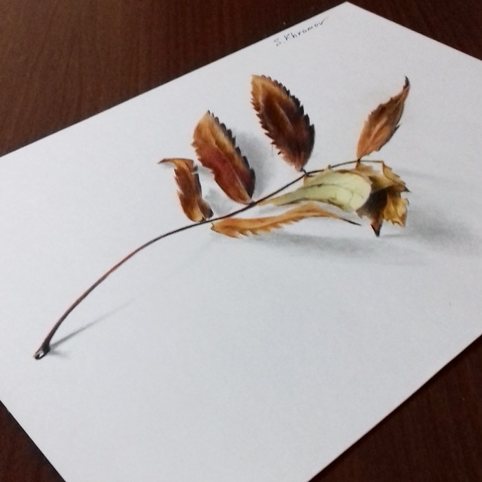 rowan twig - Branch, Leaves, Rowan, Autumn, Autumn leaves, 3D graphics, Drawing, My