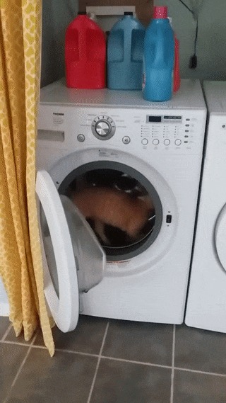 Бюджетная беговая дорожка