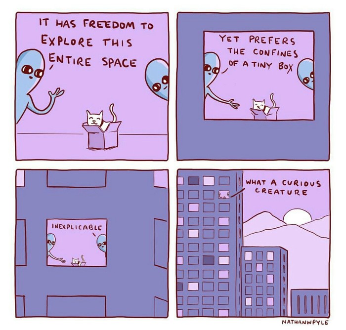 The best view on the planet #2 - cat, Nathan w Pyle, Translation, Aliens, Comics, Humor