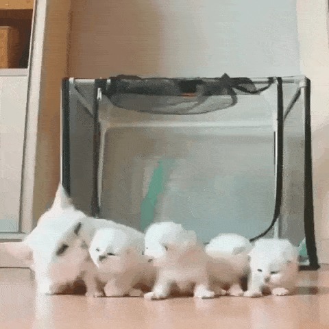 Забота