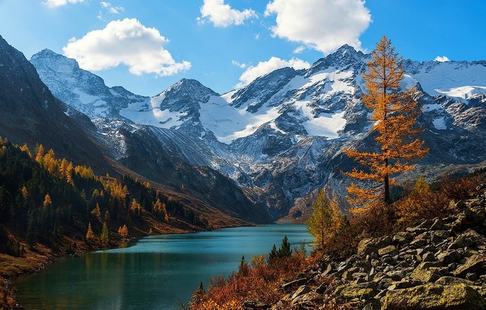 Mountain Altai. - Altai, Mountain Altai, beauty of nature, The mountains, Forest, Nature, beauty, Altai Republic