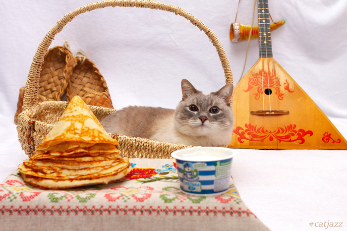 Jazz Cat - My, Jazz Cat, cat, Maslenitsa, Milota, Pets, Pancakes